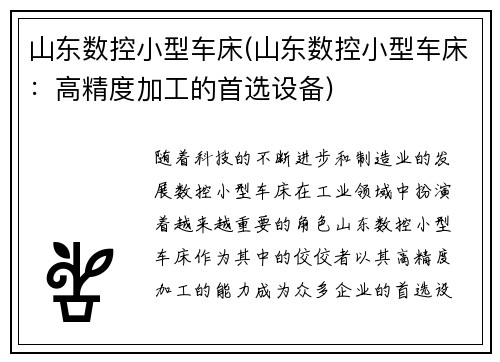 山东数控小型车床(山东数控小型车床：高精度加工的首选设备)